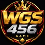 WGS456 Game