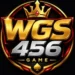 WGS456 Game
